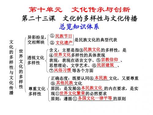 第二十三课文化的多样性与文化传播