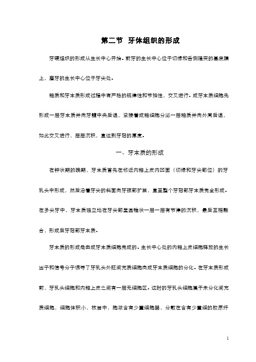 牙体组织的形成知识点总结