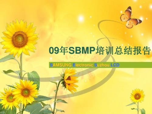 SBMP培训总结报告