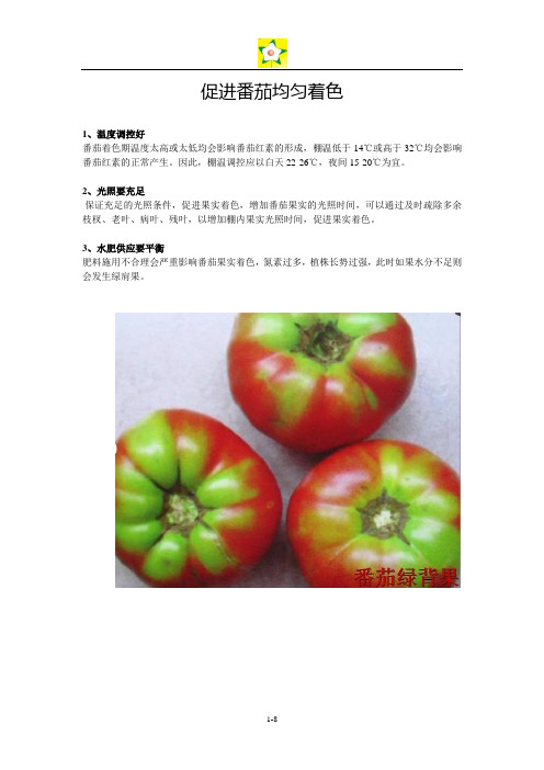 番茄着色问题
