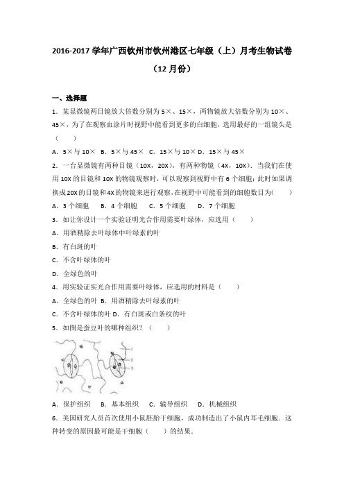 广西钦州市钦州港区七年级(上)月考生物试卷(12月份)