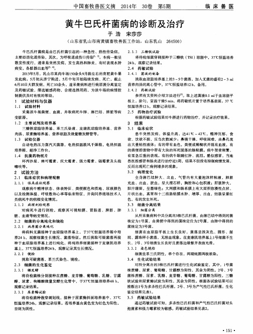 黄牛巴氏杆菌病的诊断及治疗