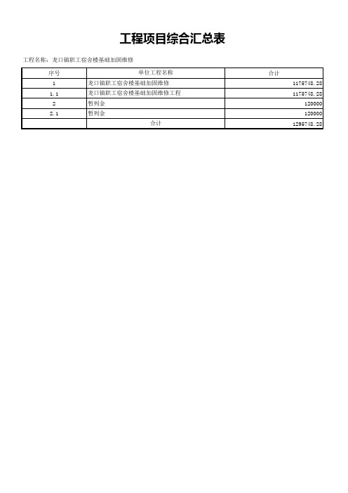 工程项目综合汇总表