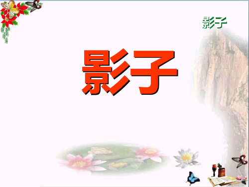 优质公开课教学课件精选影子PPT课件