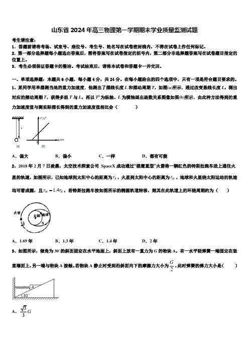 山东省2024年高三物理第一学期期末学业质量监测试题含解析