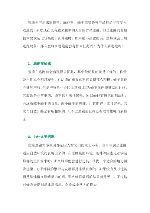 养蜂经验：蜜蜂在逃跑前会有什么征兆？