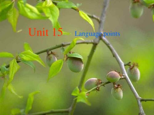 高三英语下学期unit-15-language-points(2018-2019)