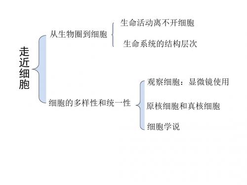 高中生物必修一第一二章复习