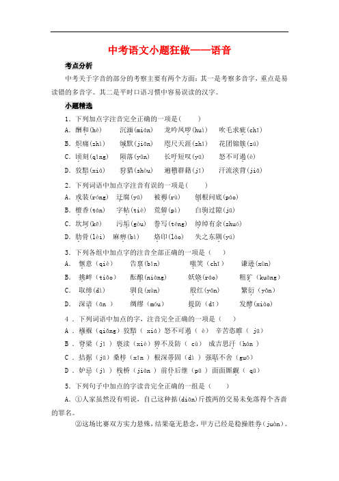 中考语文 语音 专项练习及答案