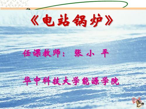 电站锅炉