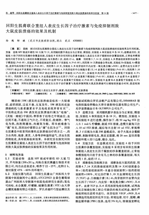 回阳生肌膏联合重组人表皮生长因子治疗激素与免疫抑制剂致大鼠皮肤溃疡的效果及机制