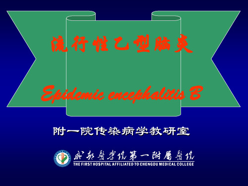 乙脑1ppt课件
