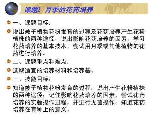 月季的花药离体培养1