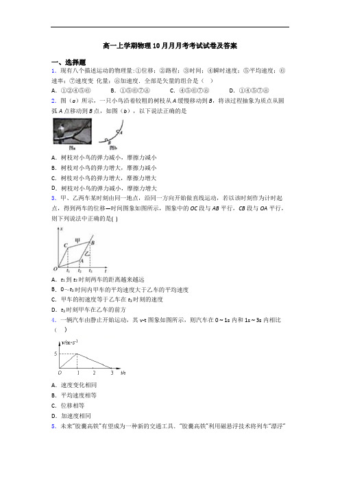 高一上学期物理10月月月考考试试卷及答案