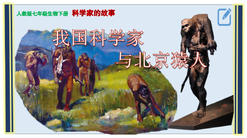 人教版七年级下册生物：科学家的故事 我国科学家与北京猿人