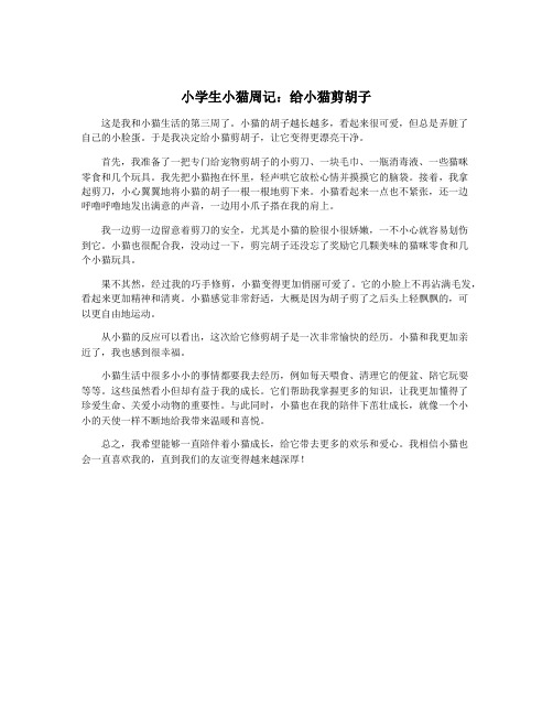 小学生小猫周记：给小猫剪胡子