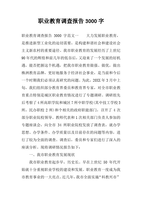 职业教育调查报告3000字