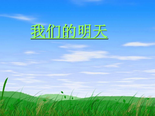 主题班会ppt课件：交流总结
