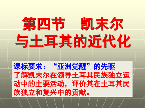 土耳其国父凯末尔2