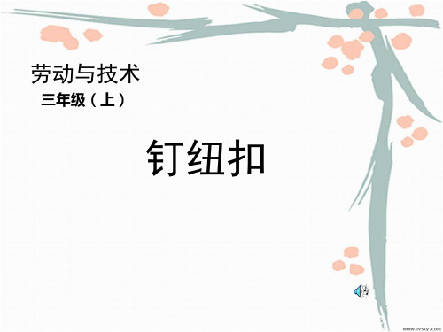 小学劳技课-钉纽扣-PPT课件