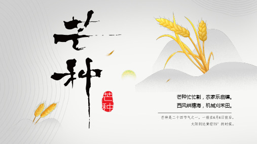 淡雅中国风传统二十四节气之芒种节日介绍ppt
