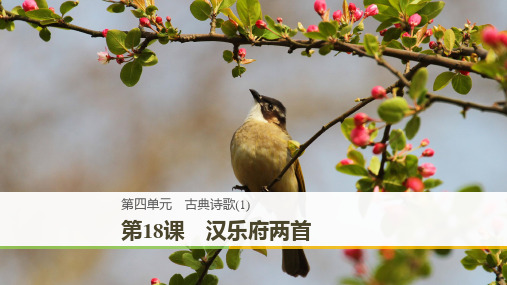 高中语文第四单元古典诗歌第18课汉乐府两首课件粤教必修1粤教高一必修1语文课件