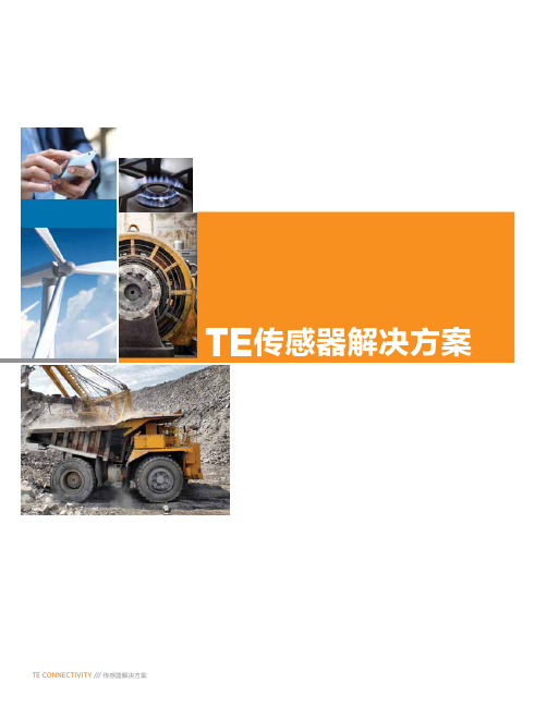 TE传感器解决方案
