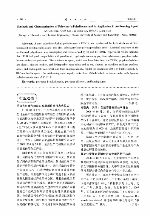 乐山吉必盛气相法白炭黑项目举行点火仪式