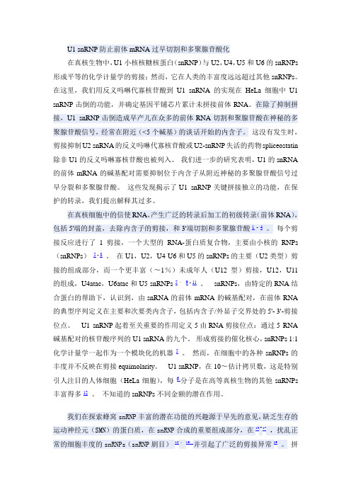 U1 snRNP防止前体mRNA过早切割和多聚腺苷酸化