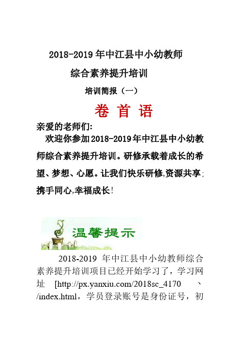 (许)2018-2019培训简报(一)