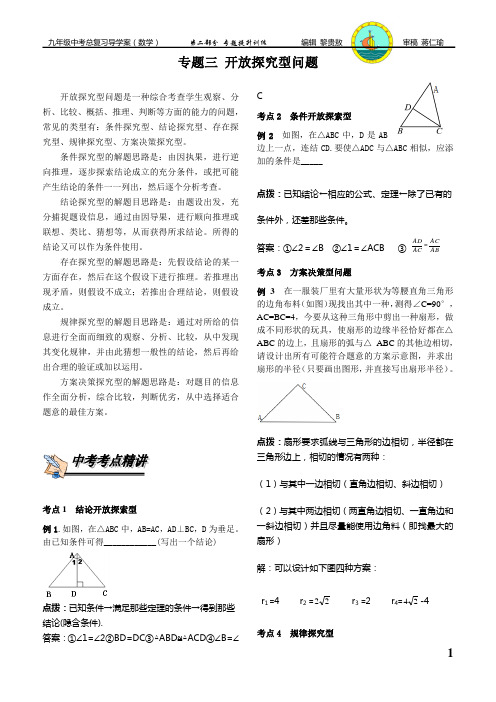 专题三  开放探究型问题(黎贵敖)