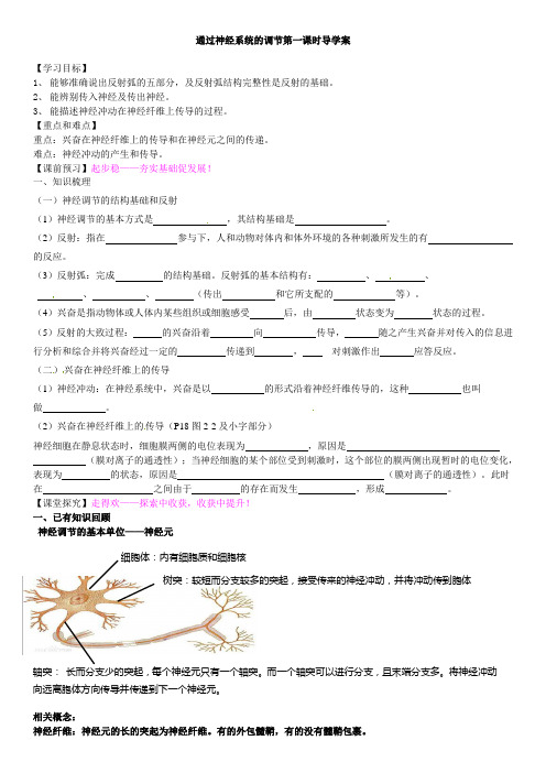 通过神经系统的调节导学案(1)