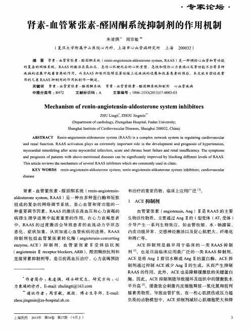 肾素-血管紧张素-醛固酮系统抑制剂的作用机制