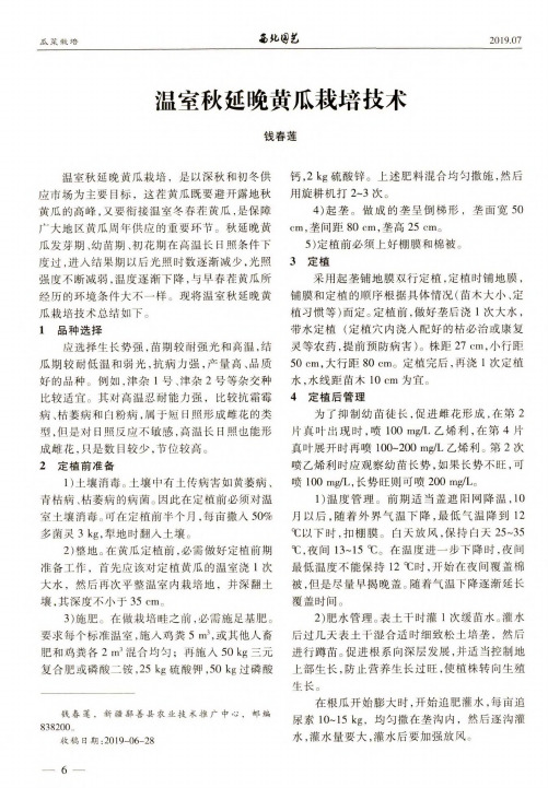 温室秋延晚黄瓜栽培技术