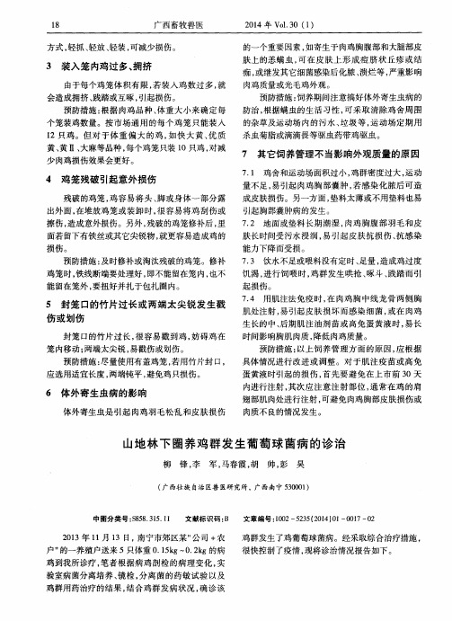 山地林下圈养鸡群发生葡萄球菌病的诊治
