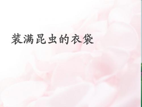 五年级上册语文课件-装满昆虫的衣袋苏教版(1)