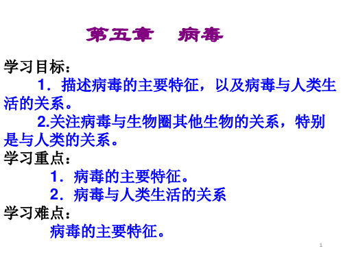 人教版初中生物八上 5.5  病毒 课件  (共18张PPT)