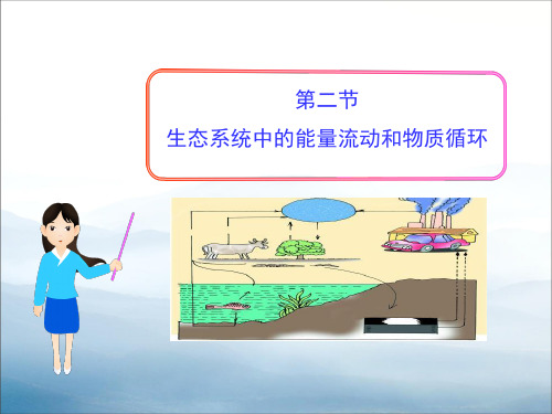 《生态系统中的能量流动和物质循环》PPT【优秀课件PPT】