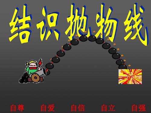 北师大版九年级数学下册结识抛物线