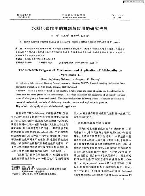水稻化感作用的机制与应用的研究进展