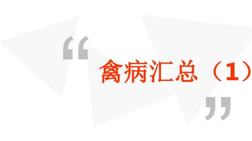 禽病汇总(1)传染性法氏囊病
