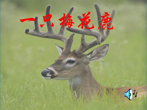 【全面版】西师版小学三年级语文上册一只梅花鹿ppt课件_图文PPT文档