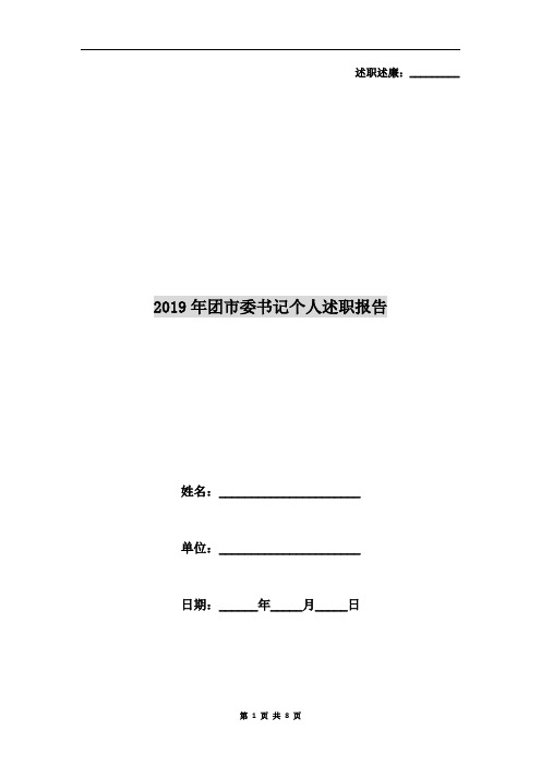 2019年团市委书记个人述职报告