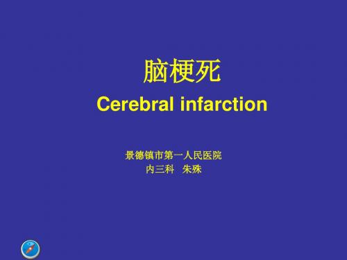 中国急性缺血性脑卒中诊治指南2010