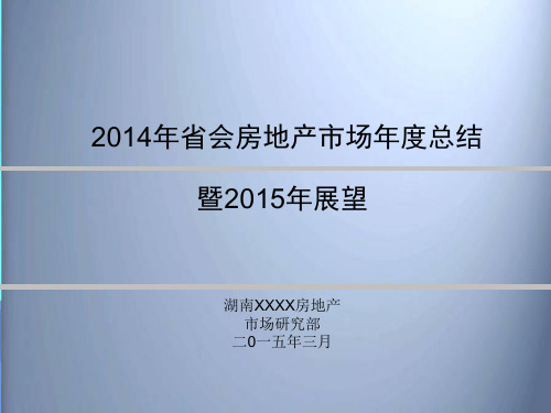 2014年湖南省会房地产市场年度总结暨2015年报告PPT模板