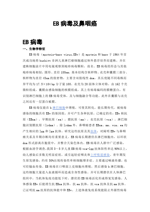 EB病毒及鼻咽癌