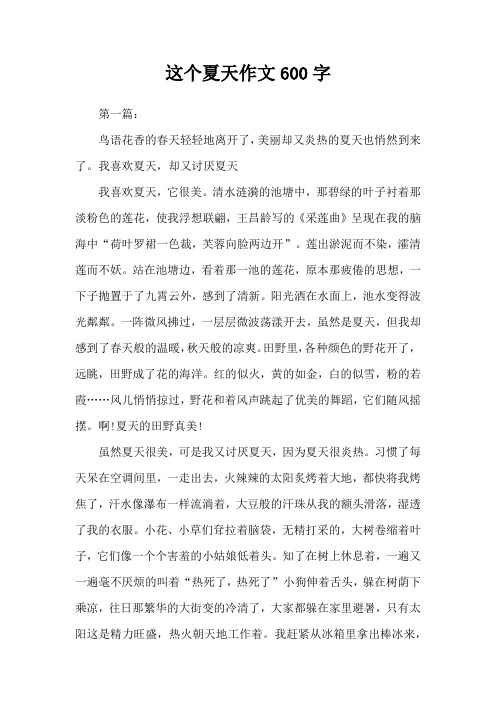 这个夏天作文600字