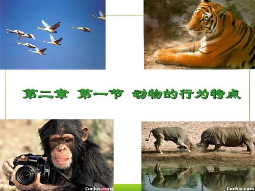 动物行为的特点 PPT课件1 冀教版