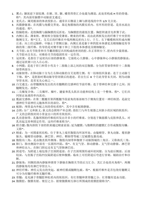 系统解剖名词解释