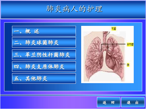 肺炎病人的护理ppt课件